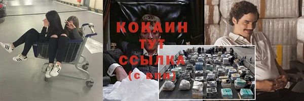 хмурый Карпинск