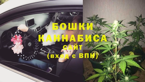 хмурый Карпинск