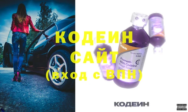 хмурый Карпинск